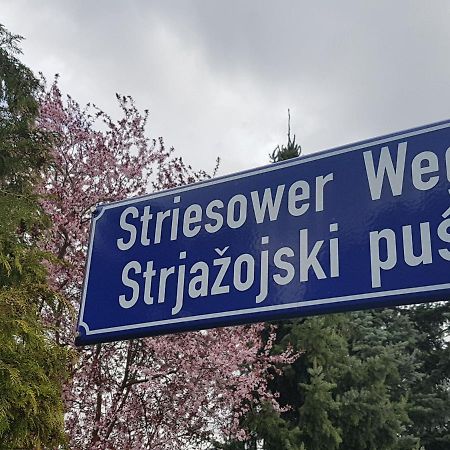 2 Raum Gartenwohnung Am Spreewaldradweg In Cottbus Eksteriør billede
